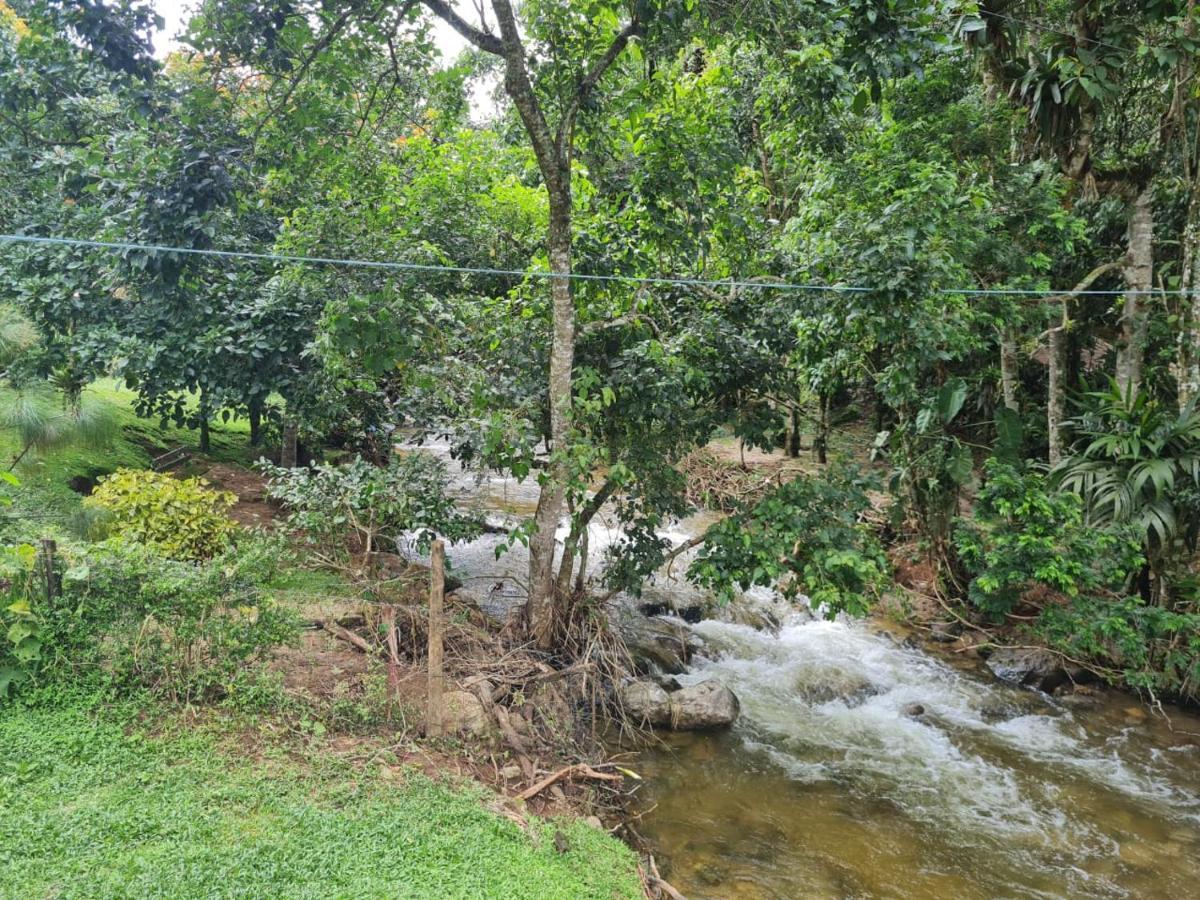 Chale Rustico Truta Da Floresta 3 Visconde De Mauá Buitenkant foto