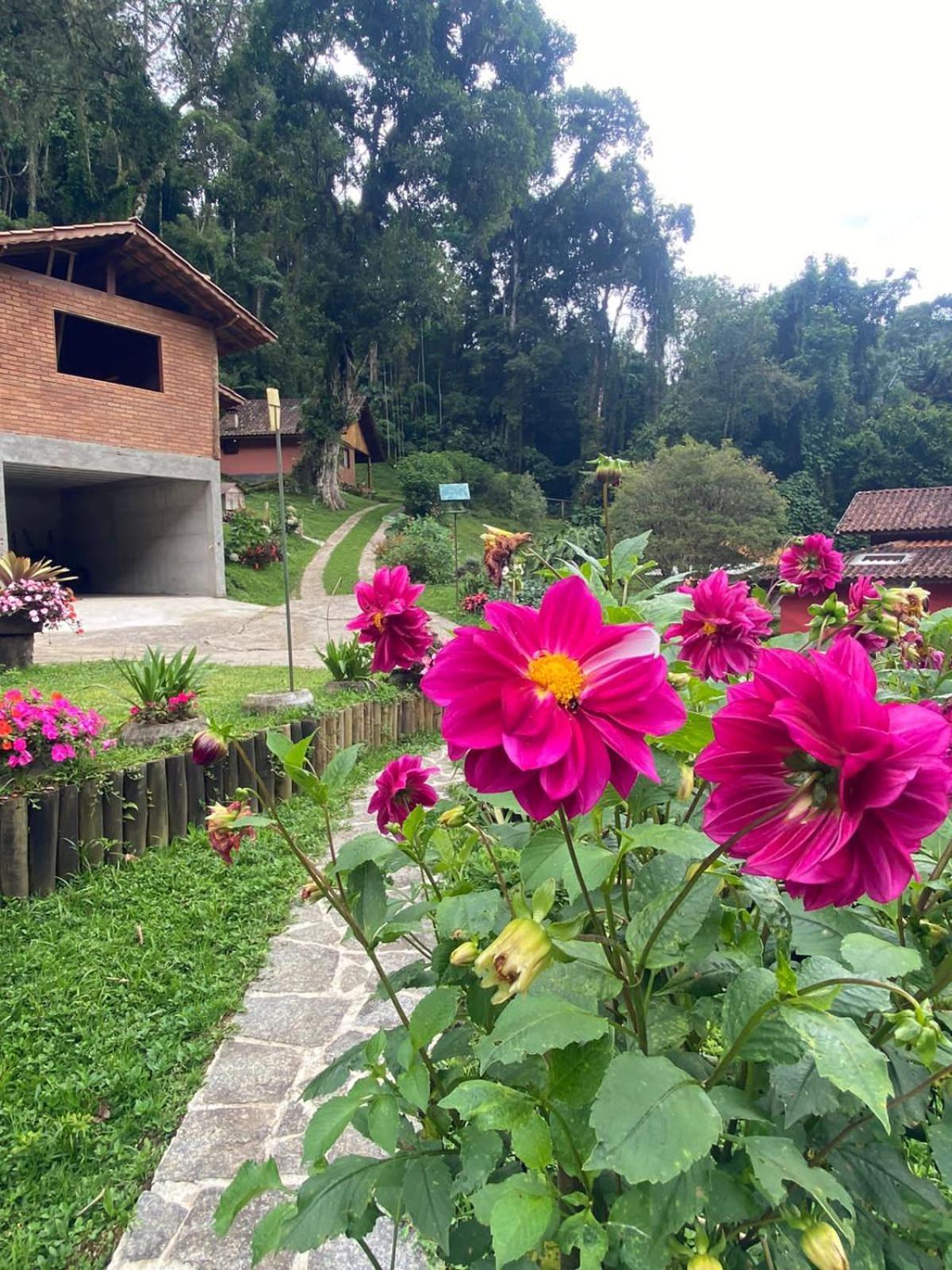 Chale Rustico Truta Da Floresta 3 Visconde De Mauá Kamer foto